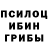 Галлюциногенные грибы прущие грибы RendenUse