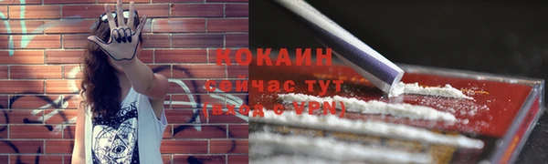 шишки Володарск