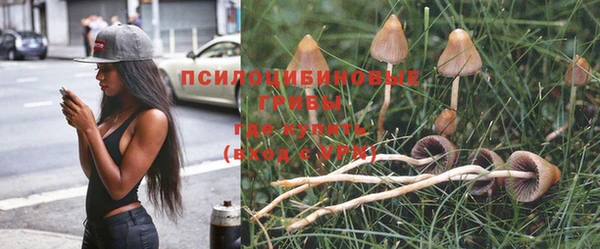 стафф Волоколамск