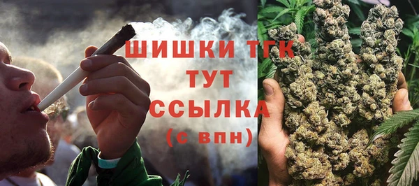 шишки Володарск